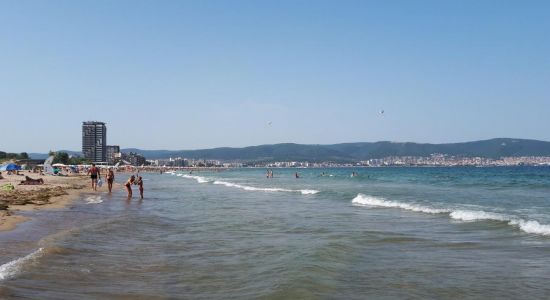 Sunny nude Beach