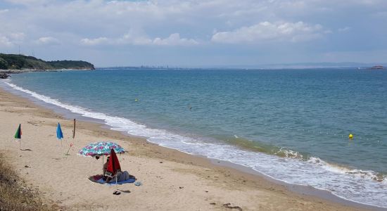 Ailyak campming beach
