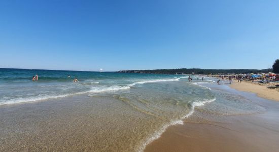 Playa Kavatsite
