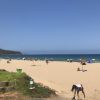 Plage les Andalouses