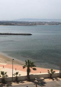 Provincia de Argel