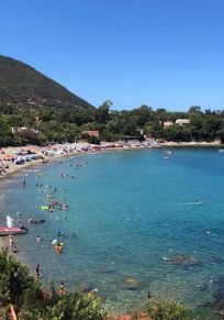 Provincia de Skikda