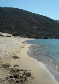 Provincia de Annaba