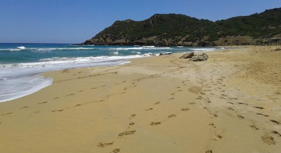 Plage De Sable Doré