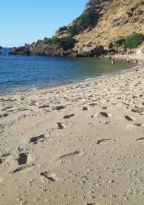 Provincia de El Tarf