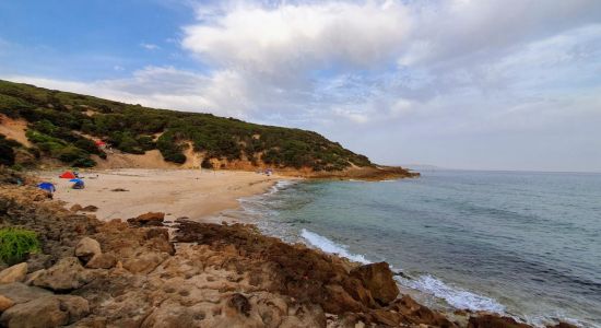 Plage Boutribicha