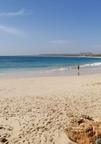 Isla de Boa Vista