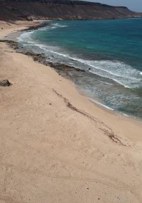Isla de Sal