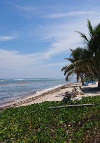 Isla Gran Caimán