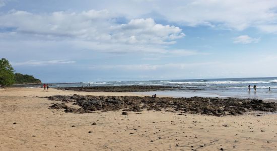 Playa Avellana