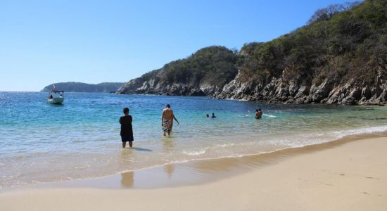 Playa Violín