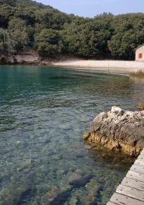 Isla de Plavnik