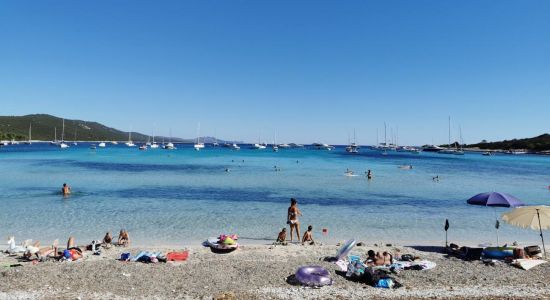 Playa Sakarun
