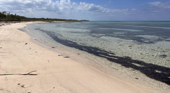 Playa Prohibida