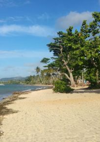 Barigua