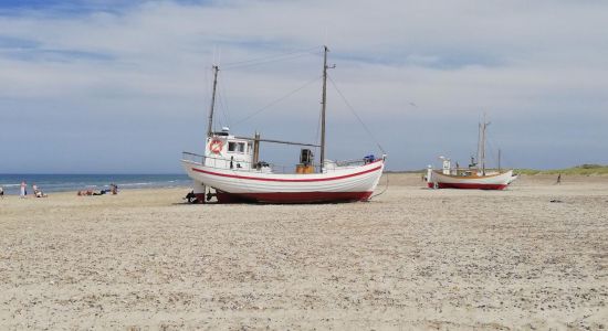 Slettestrand Beach