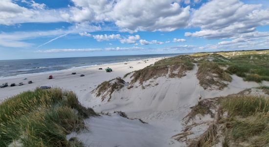 Børsmose Strand