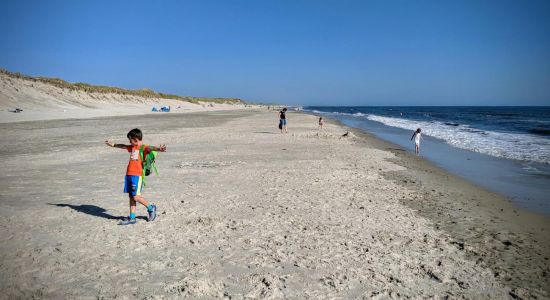 Skallingevej Beach