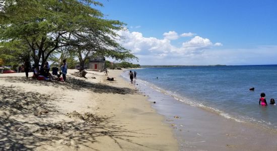 Playa Los Coquitos