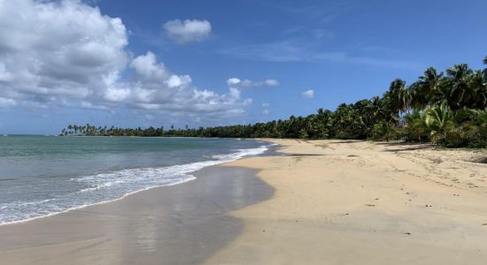 Playa de la Cana