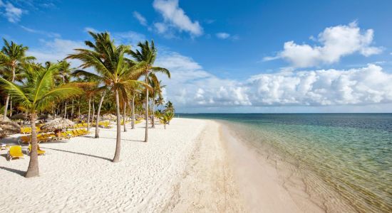 Playa de Bávaro en Cataluña