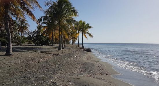 Punta Salina beach