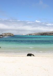 Isla Santa Fe