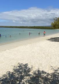 Isla Santa Cruz