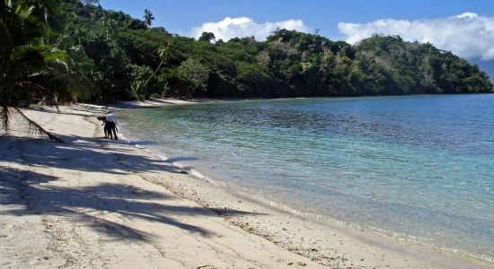 Waitatavi Bay Beach