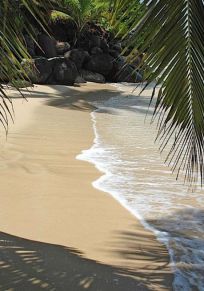 Isla de Taveuni
