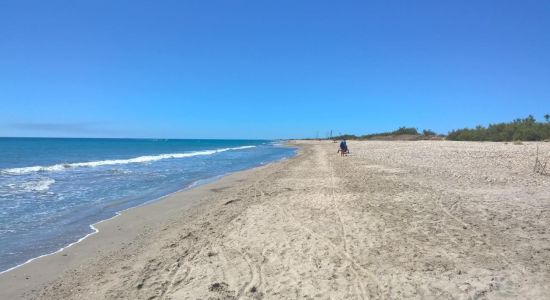 Plage des Aresquiers