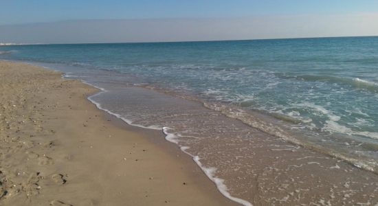 Maguelone beach