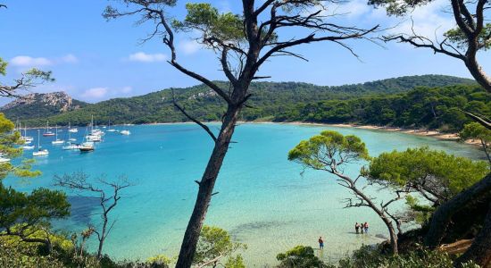 Las mejores playas en Provence-Alpes