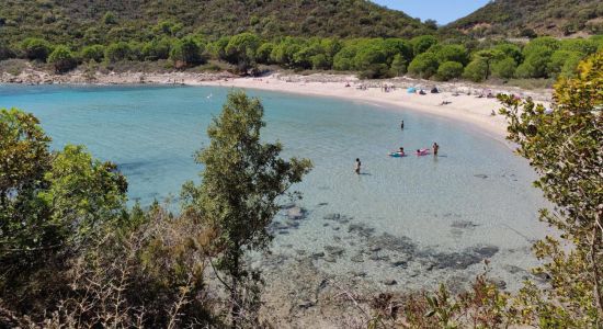 Plage de Fautea