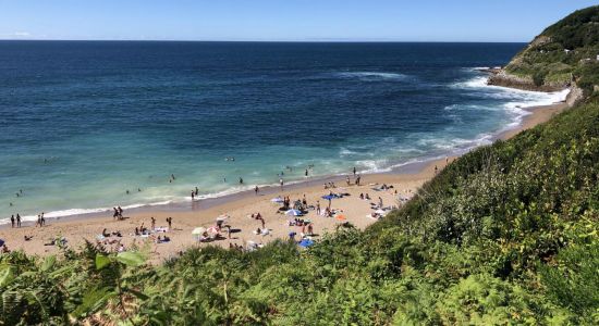 Plage de Lafitenia