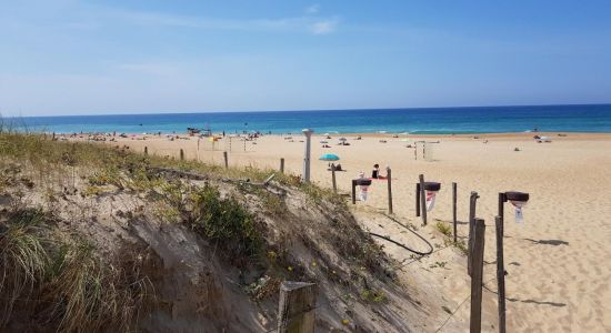 Plage du metro