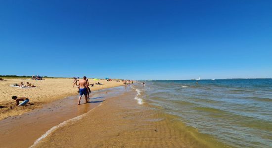 Plage de Boyardville