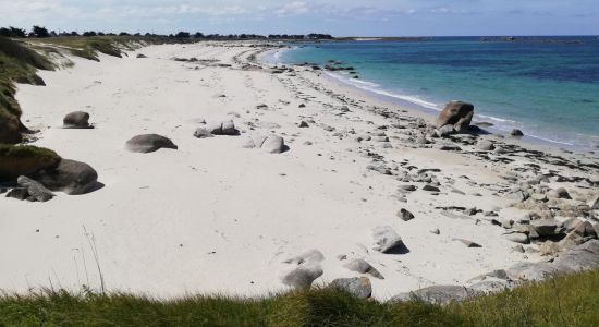 Plage du Lividic