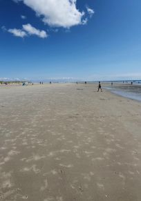 Isla de Amrum