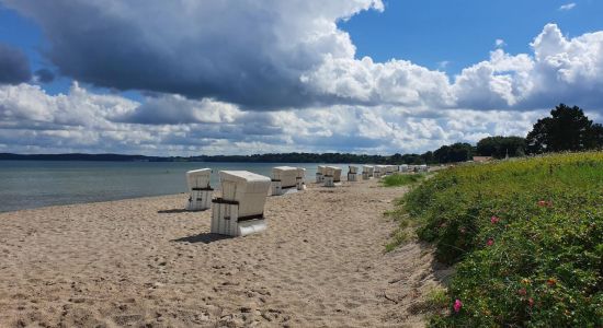 Holnis Strand