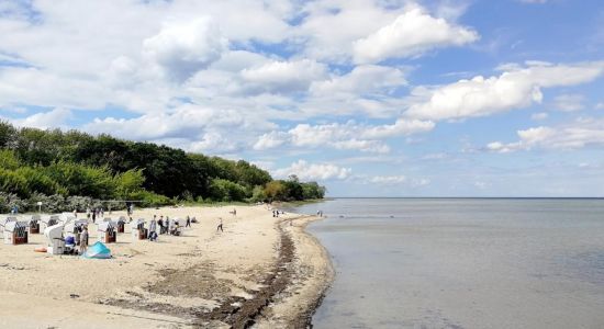 Strand Hohen Wieschendorf
