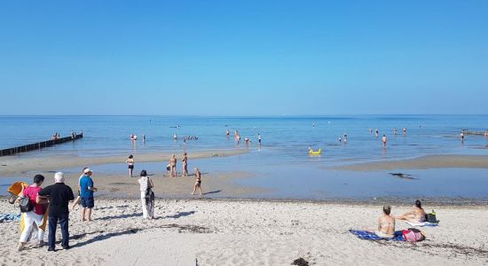 Strand am Schwarzen Busch