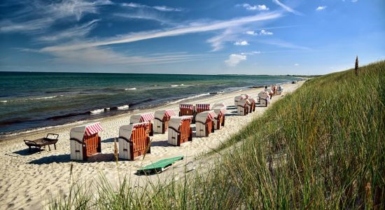 Dierhagen Neuhaus Strand