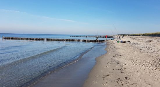 Dierhagen Ost Beach