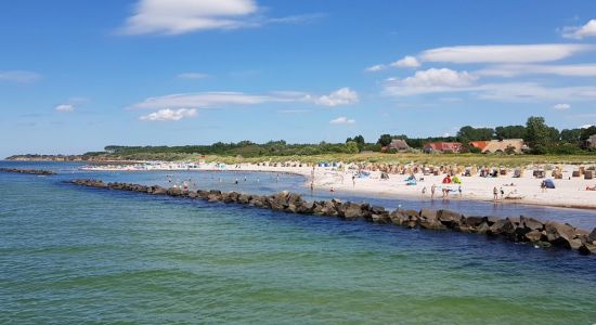 Wustrow Beach