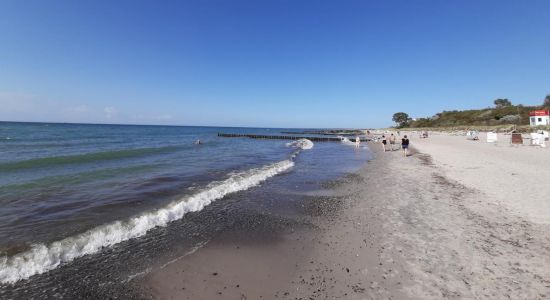 Wellenbrecher Ahrenshoop Strand