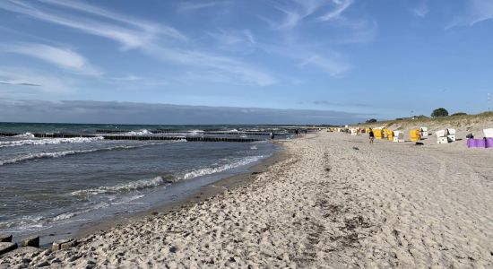 Ahrenshoop Strand
