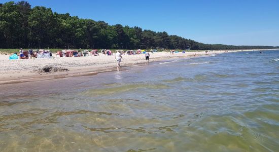 Thiessow Beach