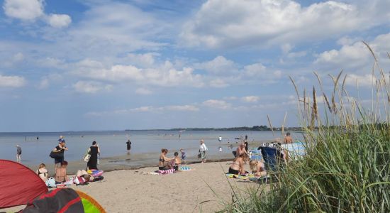 Wohlenberger Beach