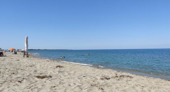 Alexandrian beach